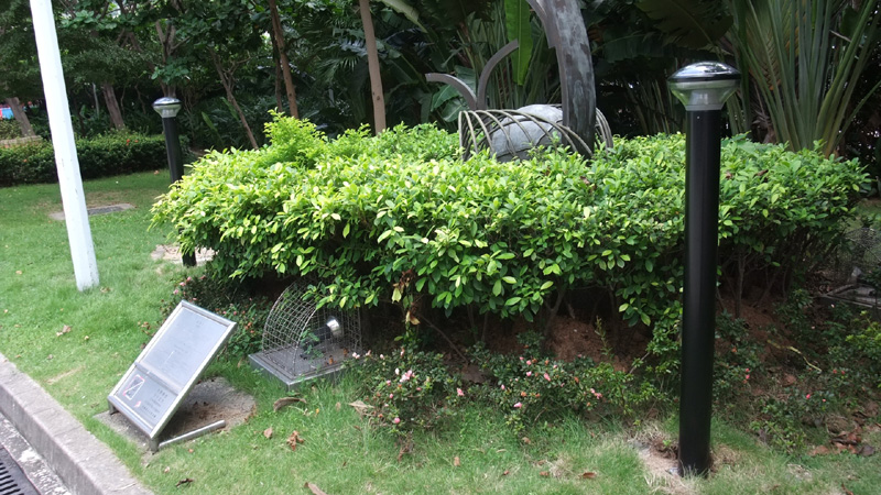 Kwai Tsing Theatre. The text above describes the image.