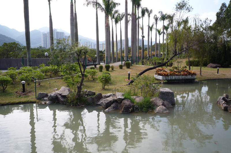 沙田公園。 以上文字說明這張圖片。